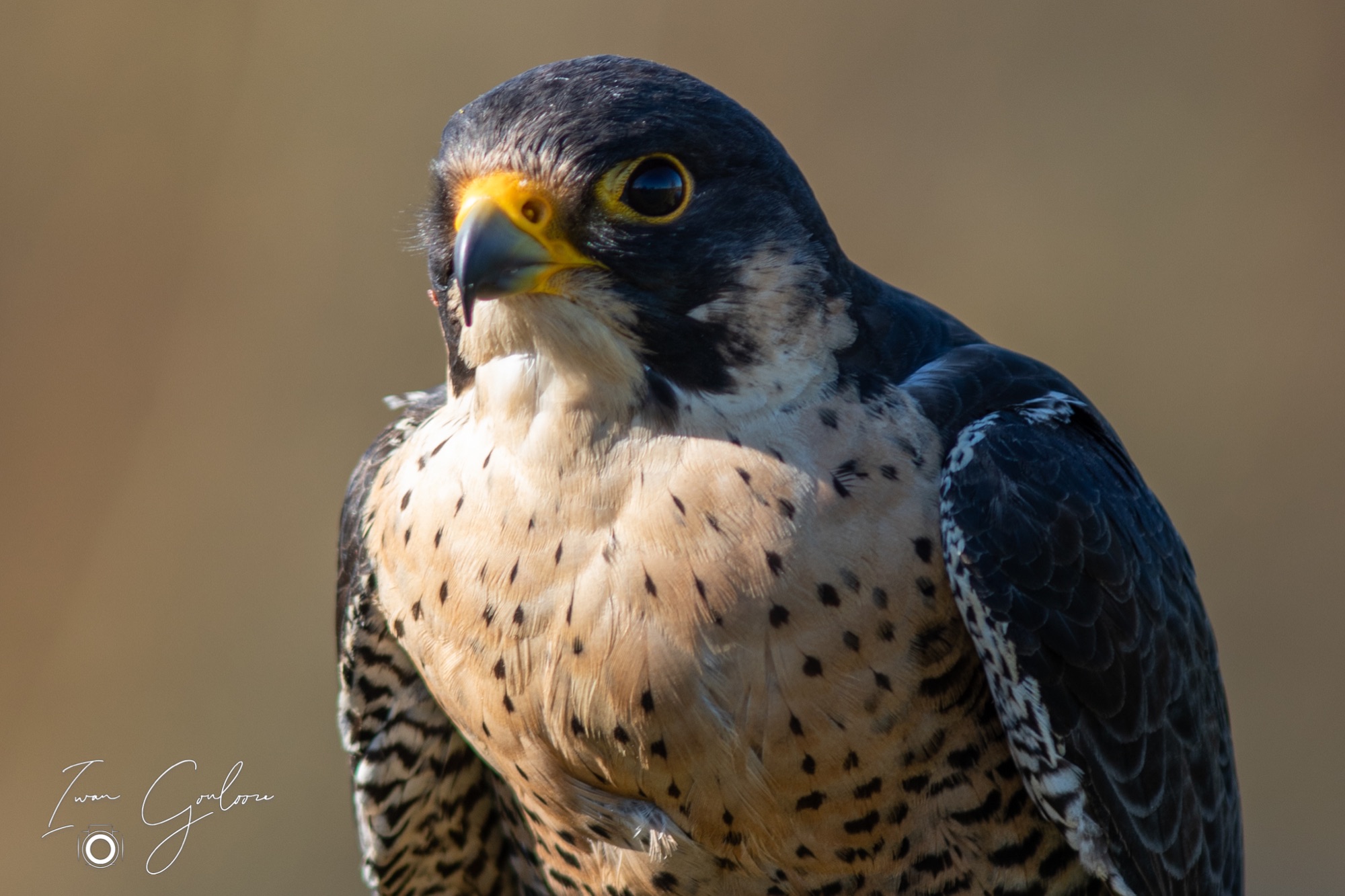 04 maart 2022 144006  5D44053